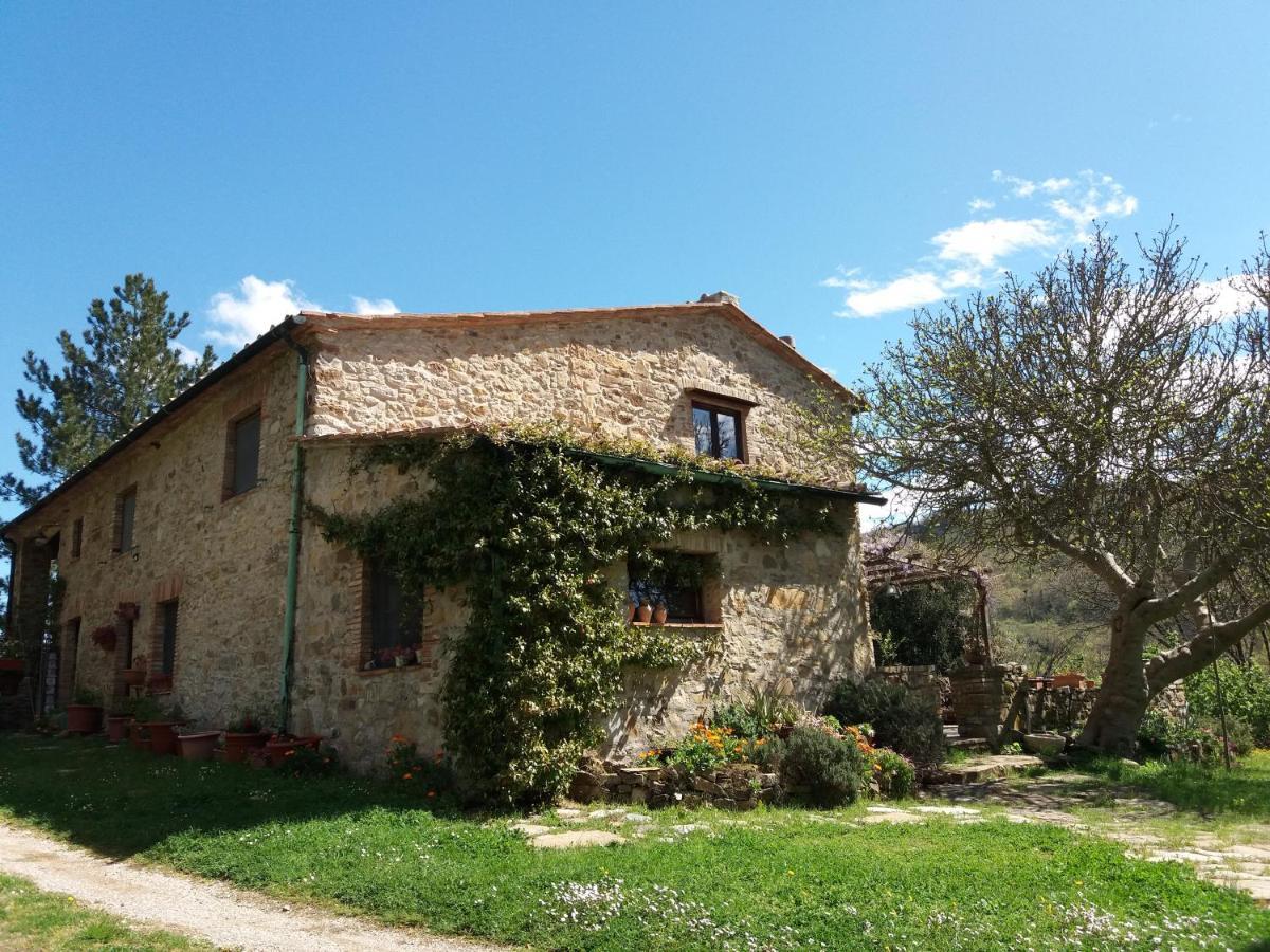 Podere Pian Di Cava Castelnuovo di Val di Cecina Exterior foto