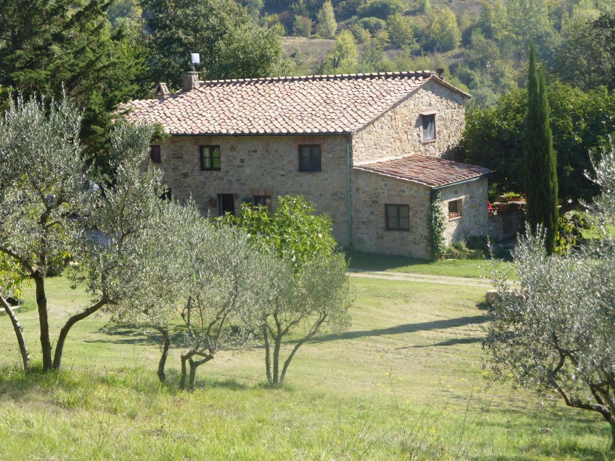 Podere Pian Di Cava Castelnuovo di Val di Cecina Exterior foto